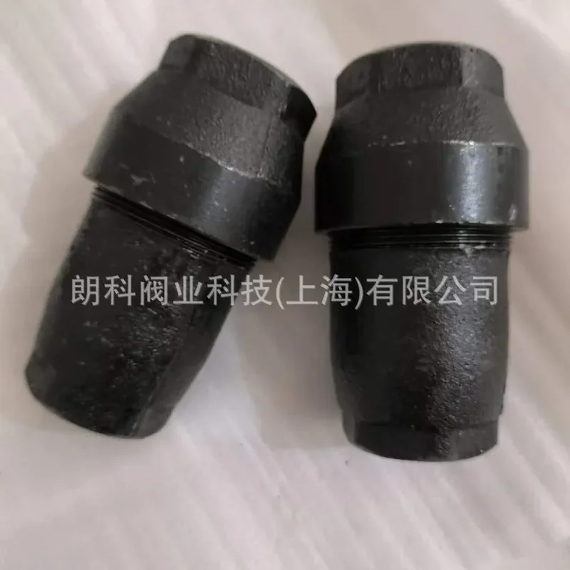 2026 HOT Threaded cone check valve cast iron, internal thread check valve, power station pneumatic transmission ZNF check
2026 HOT Threaded cone check valve cast iron, internal thread check valve, power station pneumatic transmission ZNF check