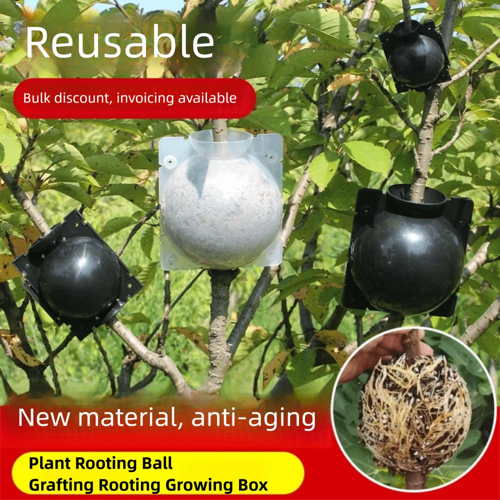 Propagation Ball Botany Root Controller Breeding Case Growing Box Grafted Tree Rooting Ball Plastic Plant Rooting Equipment
Propagation Ball Botany Root Controller Breeding Case Growing Box Grafted Tree Rooting Ball Plastic Plant Rooting Equipment