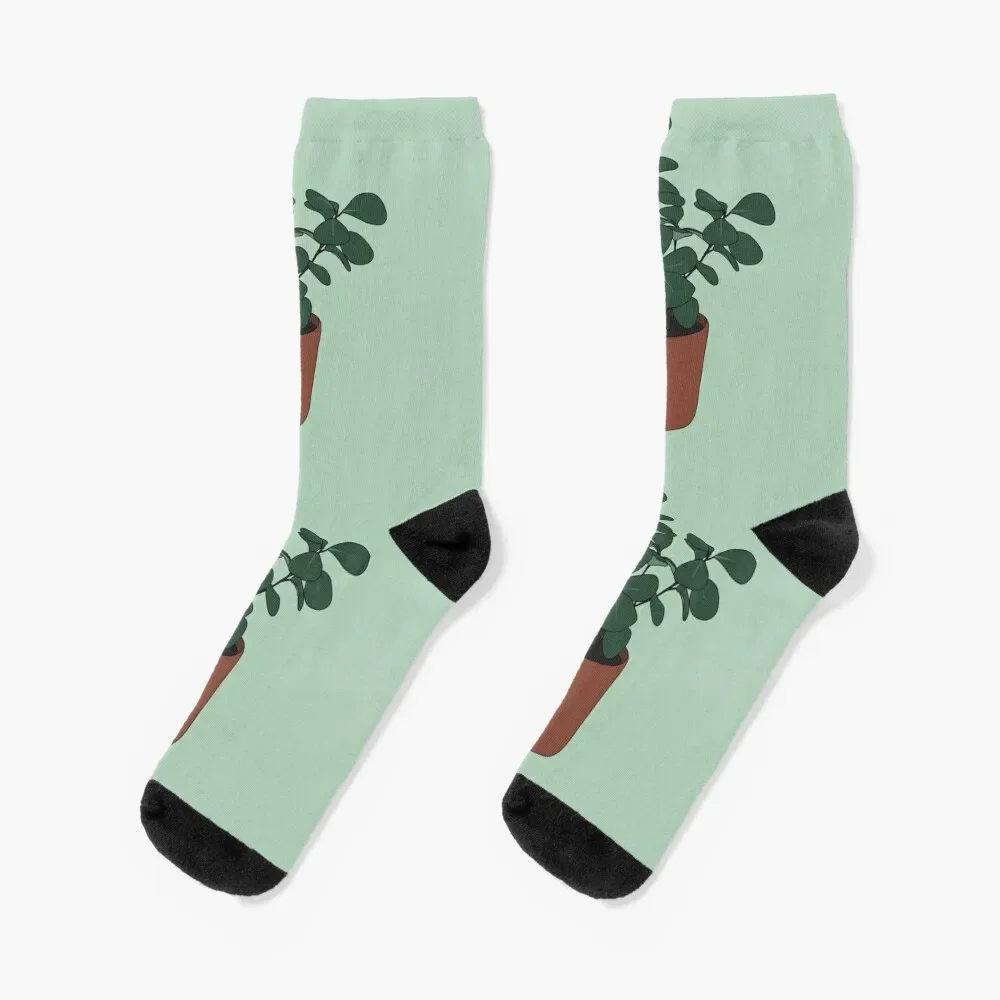 Ficus Triangularis Socks Thermal man winter gym hip hop Boy Child Socks Women's
Ficus Triangularis Socks Thermal man winter gym hip hop Boy Child Socks Women's