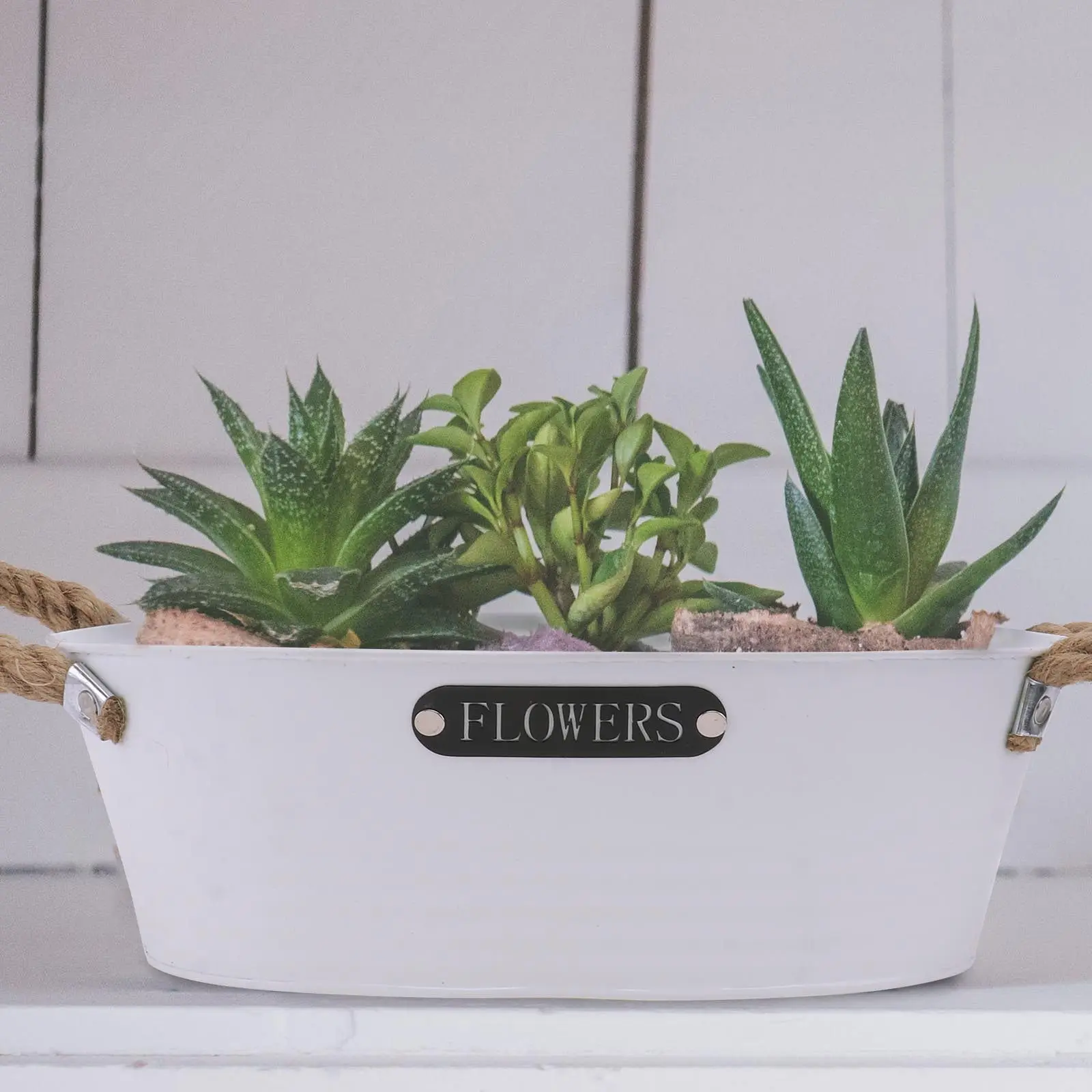 1Pcs Iron Flower Pot Elegant Creative Design Non-Slip Plant Holder for Succulents Home Decor Balcony Garden Indoor Outdoor Use
1Pcs Iron Flower Pot Elegant Creative Design Non-Slip Plant Holder for Succulents Home Decor Balcony Garden Indoor Outdoor Use