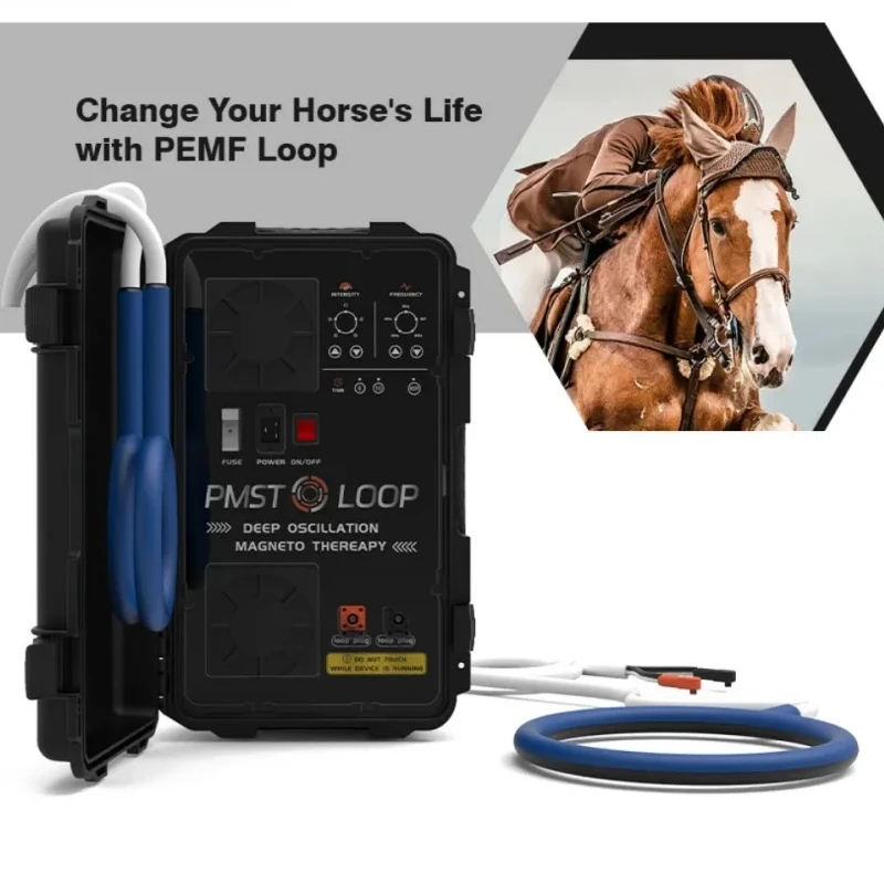 ПМСТ-терапия для выступлений лошадей Импульсная электромагнитная терапия для улучшения реабилитации лошадей после травм
ПМСТ-терапия для выступлений лошадей Импульсная электромагнитная терапия для улучшения реабилитации лошадей после травм