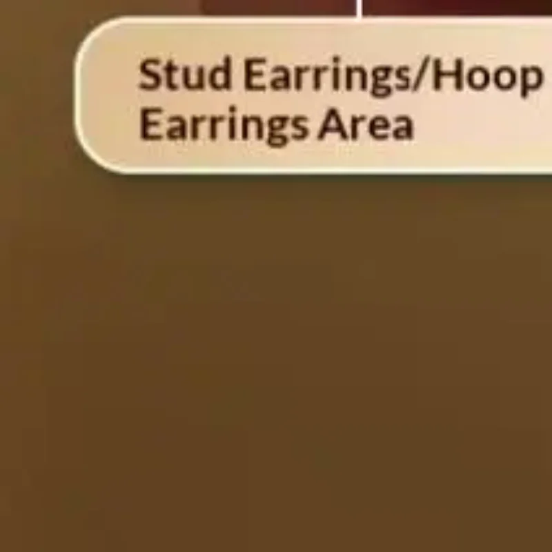 Wall-Mounted Large Capacity Jewelry Storage Box Earring Necklace Display Stand Elegant Ornate Jewelry Holder Nordic Style
Wall-Mounted Large Capacity Jewelry Storage Box Earring Necklace Display Stand Elegant Ornate Jewelry Holder Nordic Style