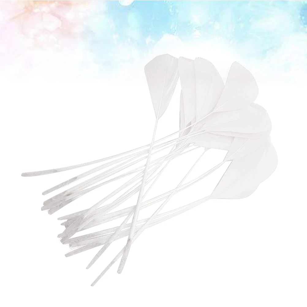 100pcs Diy Bright Natural For Wedding Party Decoration Crafts Supplies Simulation Handicrafts Dress-Up Decor
100pcs Diy Bright Natural For Wedding Party Decoration Crafts Supplies Simulation Handicrafts Dress-Up Decor