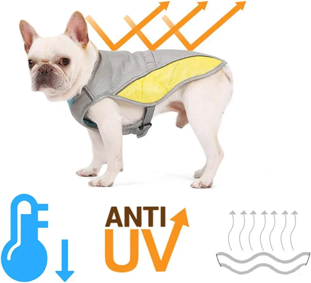 Dog Cooling Vest Harness, Outdoor Puppy Cooling Jacket, Reflective Safety Sun Protection, Pet Hunting Coat
Dog Cooling Vest Harness, Outdoor Puppy Cooling Jacket, Reflective Safety Sun Protection, Pet Hunting Coat