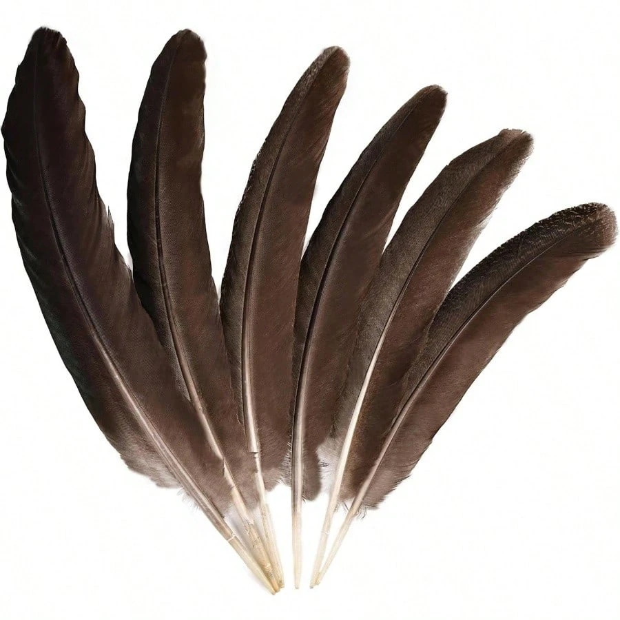 Черные перья павлина, натуральные 25-35 см, перья с полным узором для поделок своими руками, свадебное платье, костюм, домашний декор, перья 
Черные перья павлина, натуральные 25-35 см, перья с полным узором для поделок своими руками, свадебное платье, костюм, домашний декор, перья
