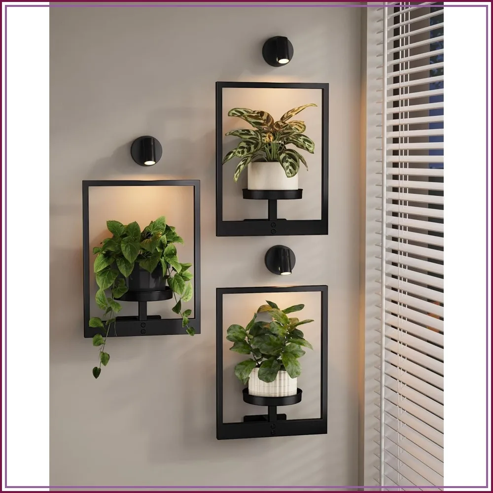Hanging Planters for Indoor Plants, Wall Decor Living Room Plant Stand, Window Plant Shelves 3-Pack with Lights
Hanging Planters for Indoor Plants, Wall Decor Living Room Plant Stand, Window Plant Shelves 3-Pack with Lights