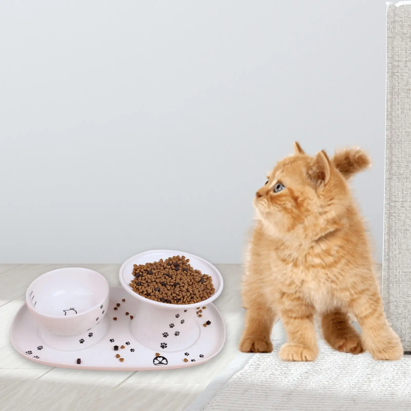 Ceramic Raised Feeder Tray, Drinking Bowl Tray, Cats Food Bowl Plate
Ceramic Raised Feeder Tray, Drinking Bowl Tray, Cats Food Bowl Plate