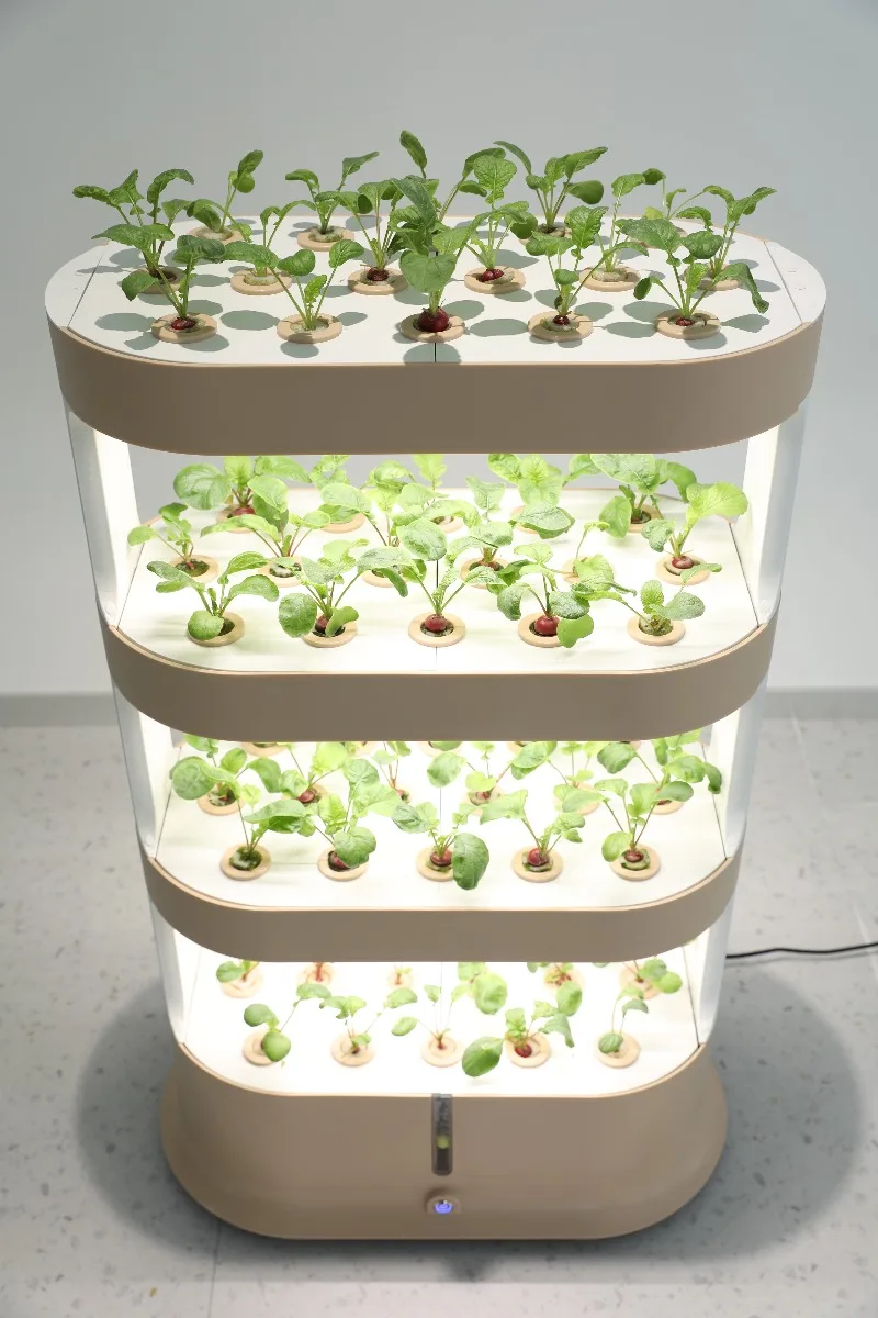 Сельскохозяйственная гидропонная система для домашнего использования, вертикальная гидропонная башня, мини-тепличный сад для листовых овощей и специй
Сельскохозяйственная гидропонная система для домашнего использования, вертикальная гидропонная башня, мини-тепличный сад для листовых овощей и специй