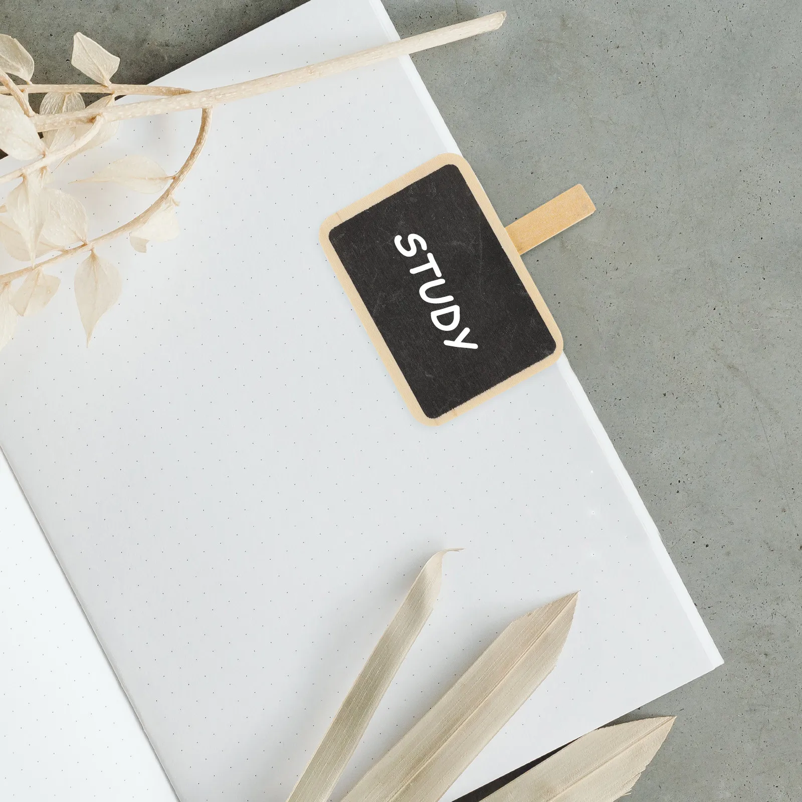 10Pcs Mini Rectangular Chalkboard Blackboard with Natural Wood Clip for Party Festival Menu Labeling Drink Identification Coffee
10Pcs Mini Rectangular Chalkboard Blackboard with Natural Wood Clip for Party Festival Menu Labeling Drink Identification Coffee