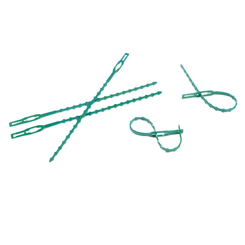100pcs Plant Straps Vegetable Garden Tying Ties Secure Climbing Plants Reusable Cable Eco Plastic Adjustable Zipper Straps
100pcs Plant Straps Vegetable Garden Tying Ties Secure Climbing Plants Reusable Cable Eco Plastic Adjustable Zipper Straps