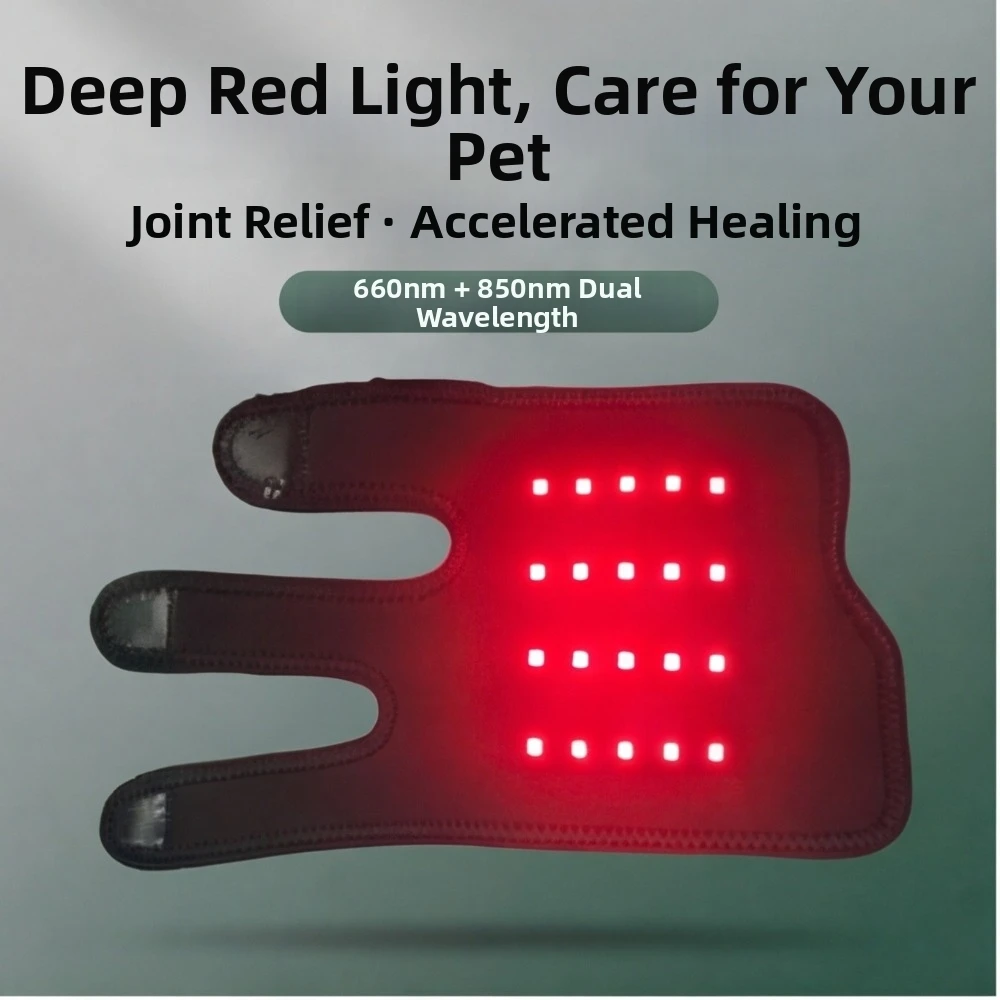 Automatic Timing Pet Red Light Recovery Device LED Light Source Promote Circulation Pet Rehabilitation Sleeve Relieve Discomfort
Automatic Timing Pet Red Light Recovery Device LED Light Source Promote Circulation Pet Rehabilitation Sleeve Relieve Discomfort