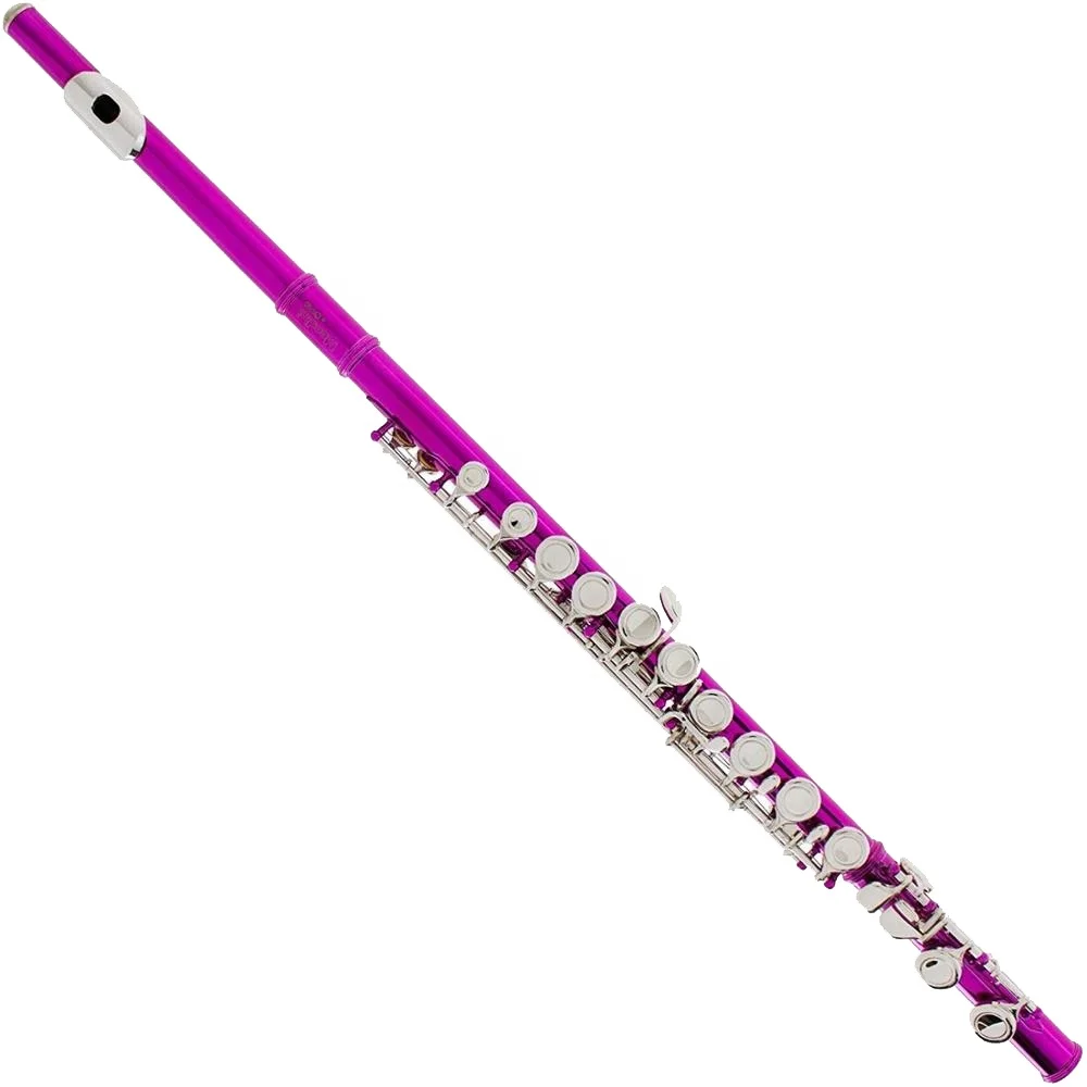 SEASOUND French Key Wind JYFL201PK 16-Hole C Tone Flute With Open Holes Nickel Plated Surface Pink Leather Case OEM Product
SEASOUND French Key Wind JYFL201PK 16-Hole C Tone Flute With Open Holes Nickel Plated Surface Pink Leather Case OEM Product