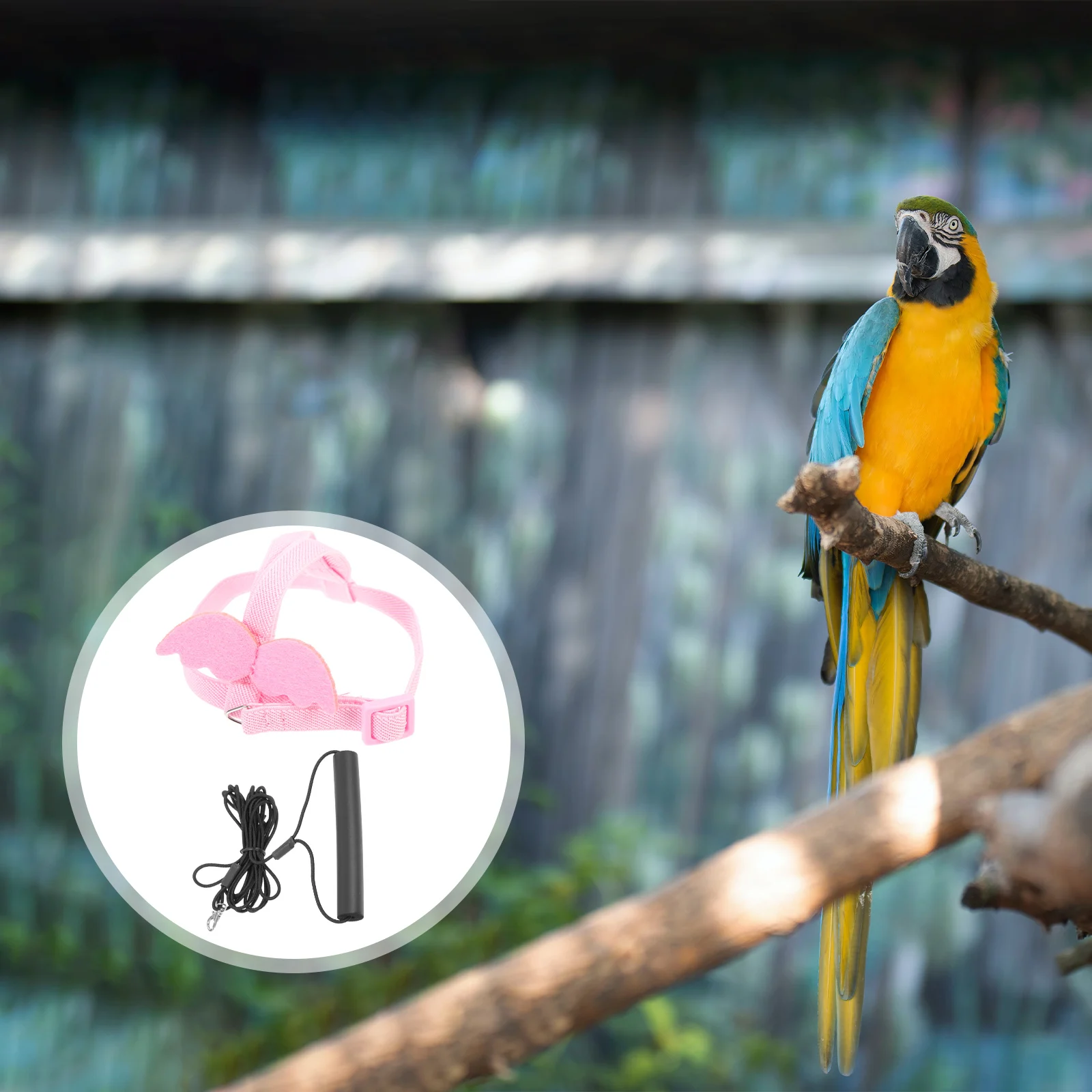 Parrot Leash Flying Strap Rope Train Bird for Parrots Harness Pink Elastic Cotton
Parrot Leash Flying Strap Rope Train Bird for Parrots Harness Pink Elastic Cotton