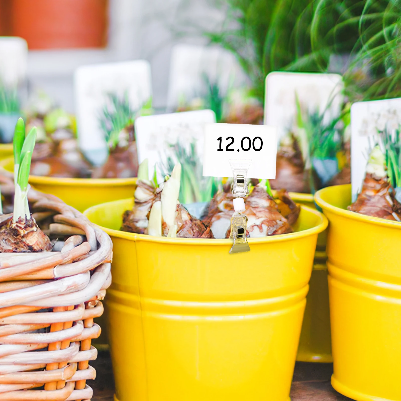 40pcs Poster Clips Double Sided Rotatable Clear Display Holders for Price Signs Shelf Labels Retail Supermarket Use
40pcs Poster Clips Double Sided Rotatable Clear Display Holders for Price Signs Shelf Labels Retail Supermarket Use