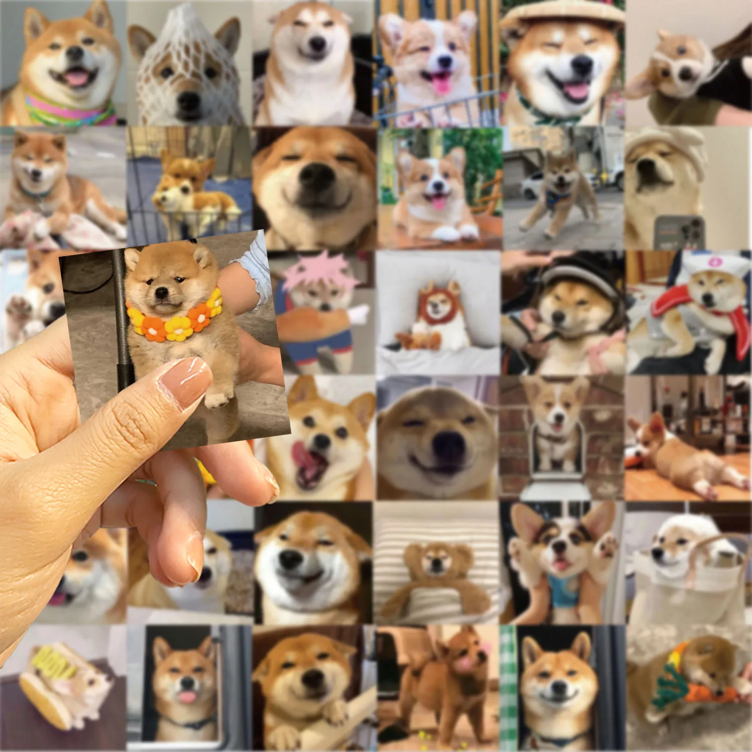 55pcs Corgi Shiba Inu Sticker suitablefor Notebook computer Luggage Refrigerator skate boards phone cases sticker
55pcs Corgi Shiba Inu Sticker suitablefor Notebook computer Luggage Refrigerator skate boards phone cases sticker