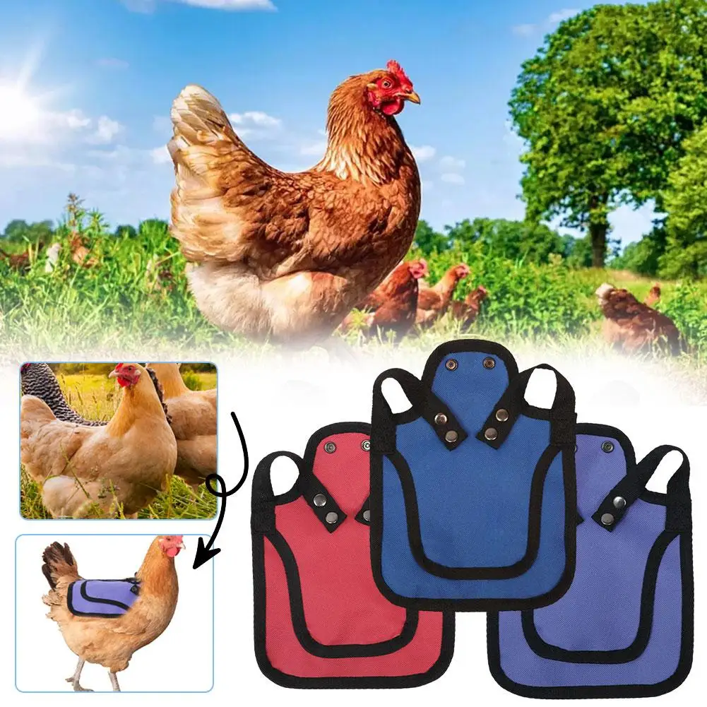Soft Chicken Saddle Apron Practical Adjustable Cloth Vest Hen Feathers Chicken Poultry Back Apron Harness Protecting Q6t0
Soft Chicken Saddle Apron Practical Adjustable Cloth Vest Hen Feathers Chicken Poultry Back Apron Harness Protecting Q6t0