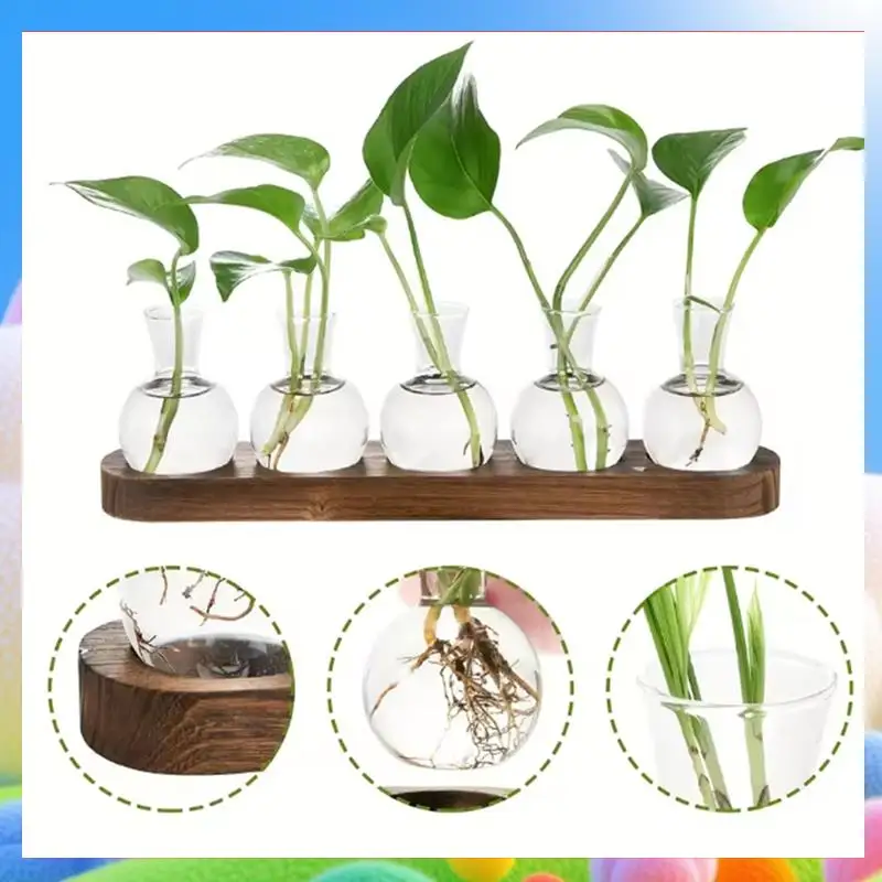 Plant Terrarium Glass Vase Modern Transparent With Wooden Tray, Indoor Desktop Decor-AA25
Plant Terrarium Glass Vase Modern Transparent With Wooden Tray, Indoor Desktop Decor-AA25