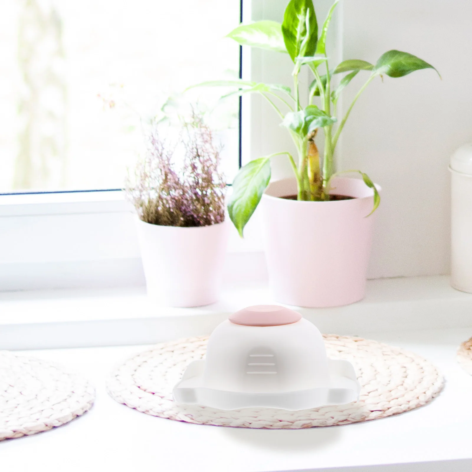 Vegetable Hand Guard Finger Protector for Cutting Food Kitchen Utensils Grater Holder Premium Material Easy Clean Save
Vegetable Hand Guard Finger Protector for Cutting Food Kitchen Utensils Grater Holder Premium Material Easy Clean Save