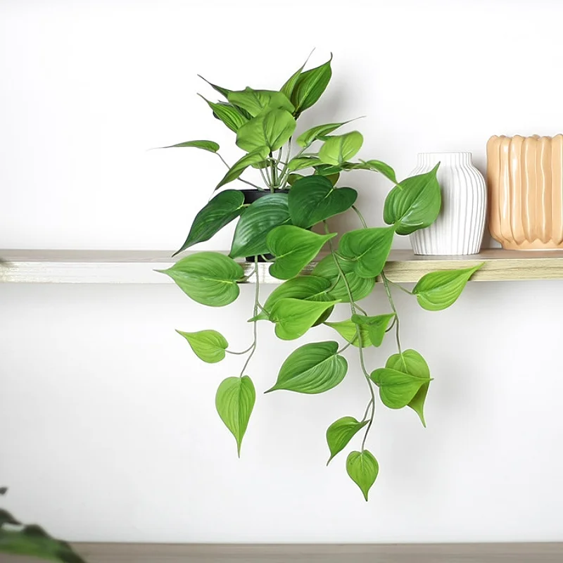 Artificial Hanging Plants 50 cm 3D Fake Rattan Plastic Flower Decoration Hotel Party Home Decoration Accessories Props
Artificial Hanging Plants 50 cm 3D Fake Rattan Plastic Flower Decoration Hotel Party Home Decoration Accessories Props