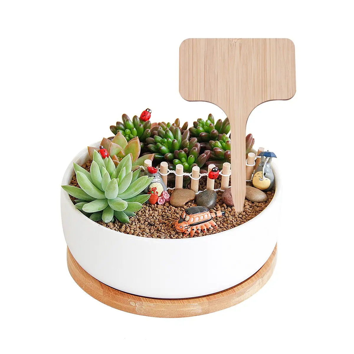 20 Pcs Bamboo Plant Tags Durable Reusable Garden Labels Flower Markers Easy Insert Write Names Plants Gardening Accessories
20 Pcs Bamboo Plant Tags Durable Reusable Garden Labels Flower Markers Easy Insert Write Names Plants Gardening Accessories