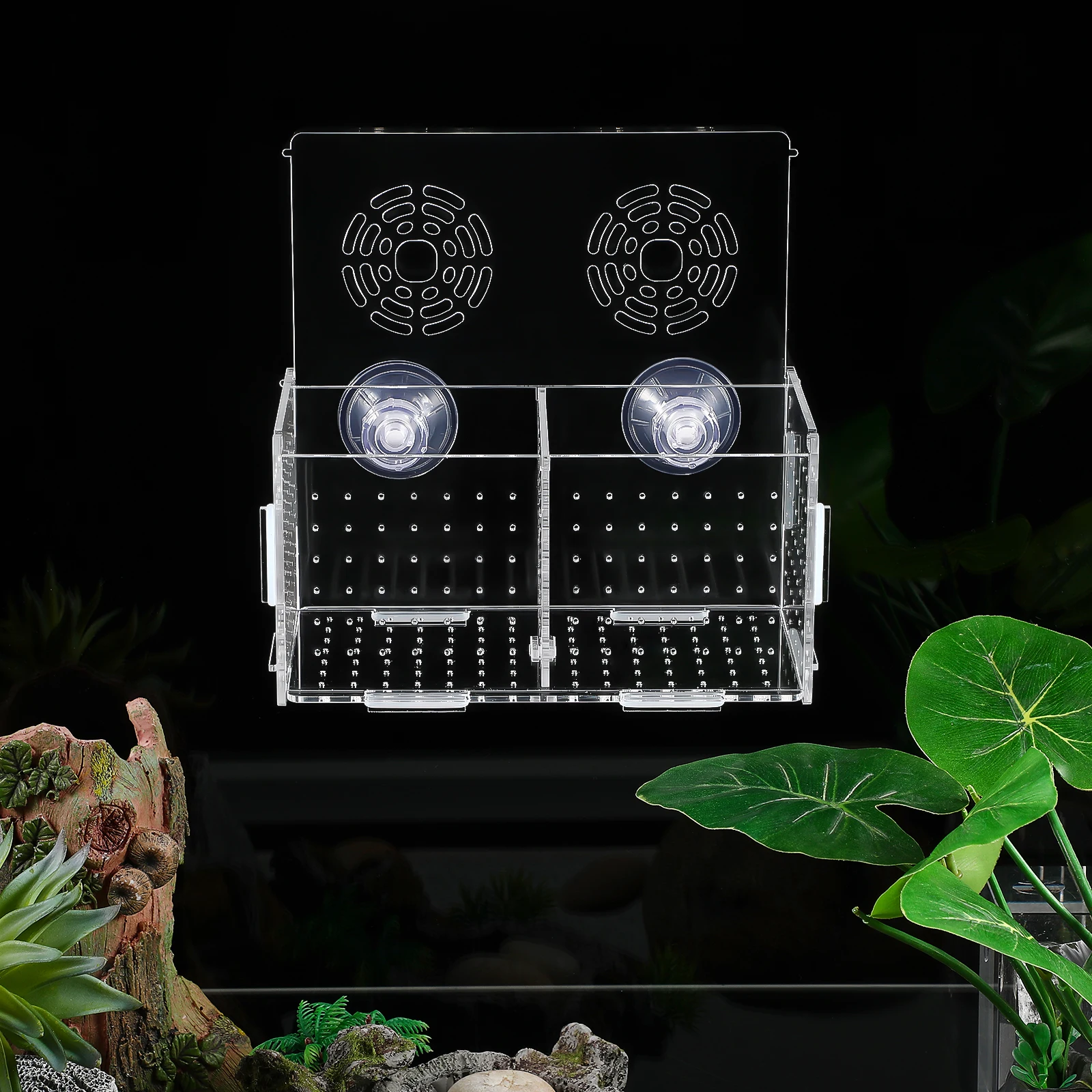 Fish Tank Accessories Isolation Box Hatching Boxes Viviparous Fish Breeding Aquarium Incubator Juvenile Protector
Fish Tank Accessories Isolation Box Hatching Boxes Viviparous Fish Breeding Aquarium Incubator Juvenile Protector