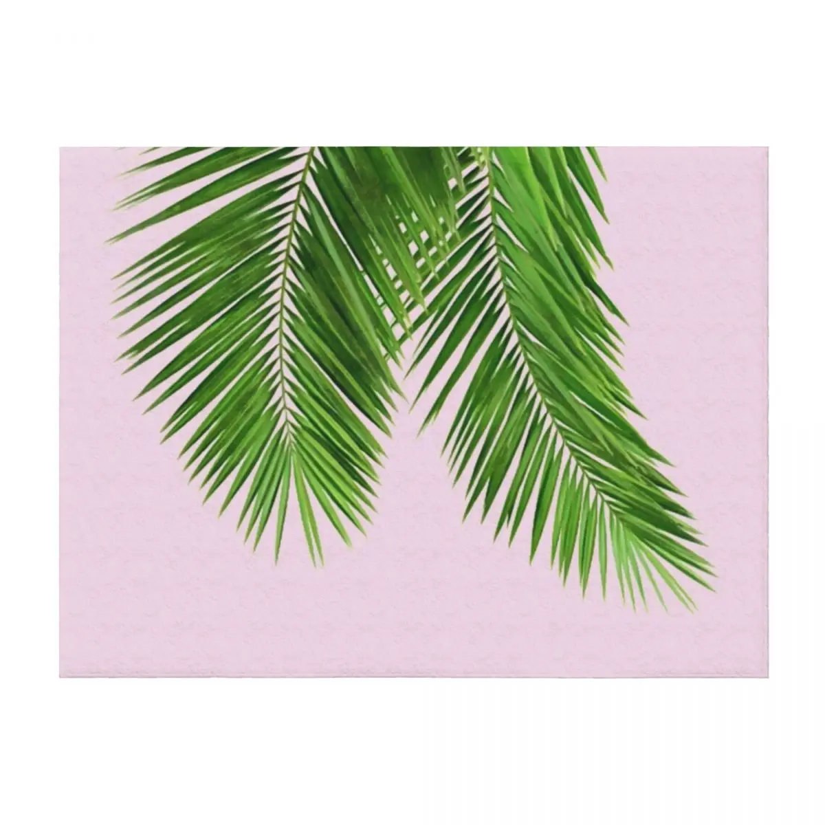 Palm Leaves on light Pink Background Throw Blanket Single Heavy Soft Big Blankets
Palm Leaves on light Pink Background Throw Blanket Single Heavy Soft Big Blankets