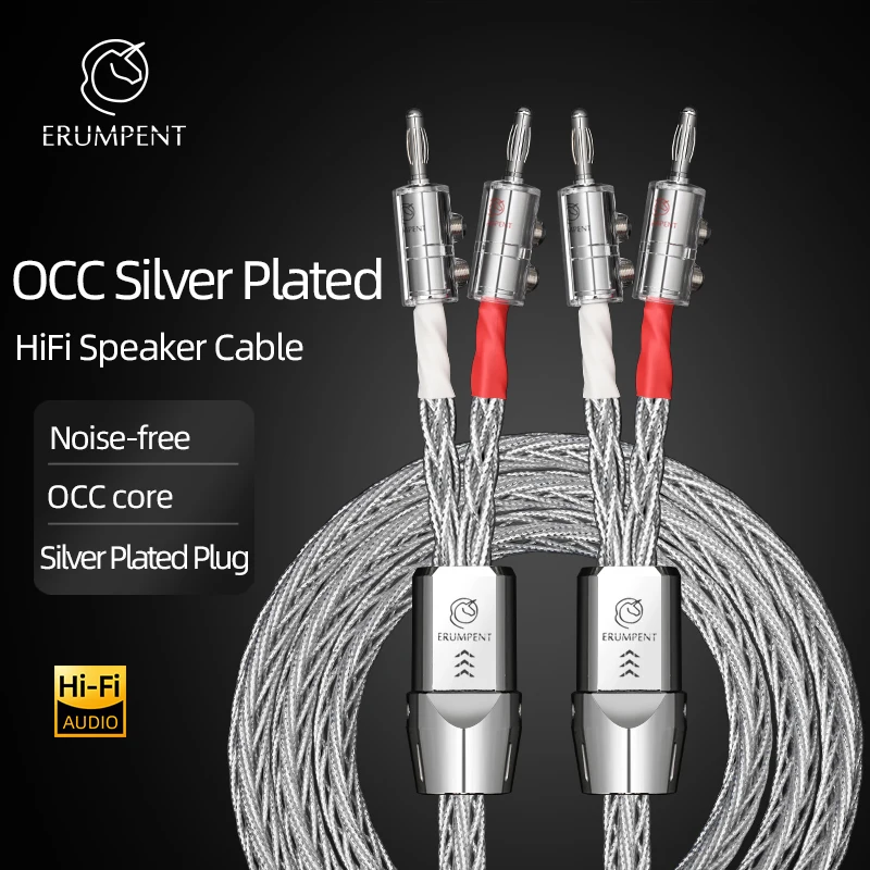 One Pair OCC Silver Plated Speaker Cable with Banana/Pin Plug HiFi Speaker Wire for Amplifier Connection Dedicated Cable
One Pair OCC Silver Plated Speaker Cable with Banana/Pin Plug HiFi Speaker Wire for Amplifier Connection Dedicated Cable