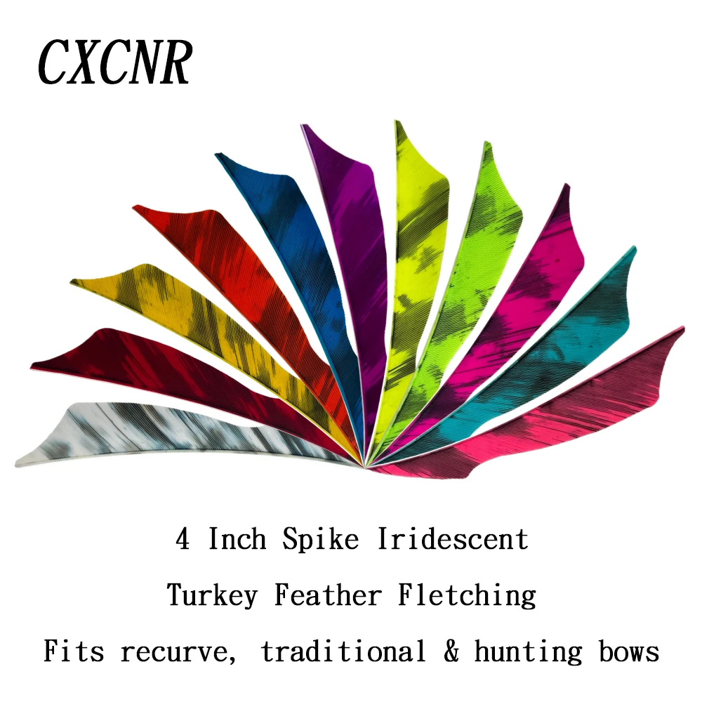 50Pcs 4 Inch Spike Iridescent RW Turkey Feather Fletching DIY Arrows Fits Recurve, Traditional & Hunting Bows
50Pcs 4 Inch Spike Iridescent RW Turkey Feather Fletching DIY Arrows Fits Recurve, Traditional & Hunting Bows
