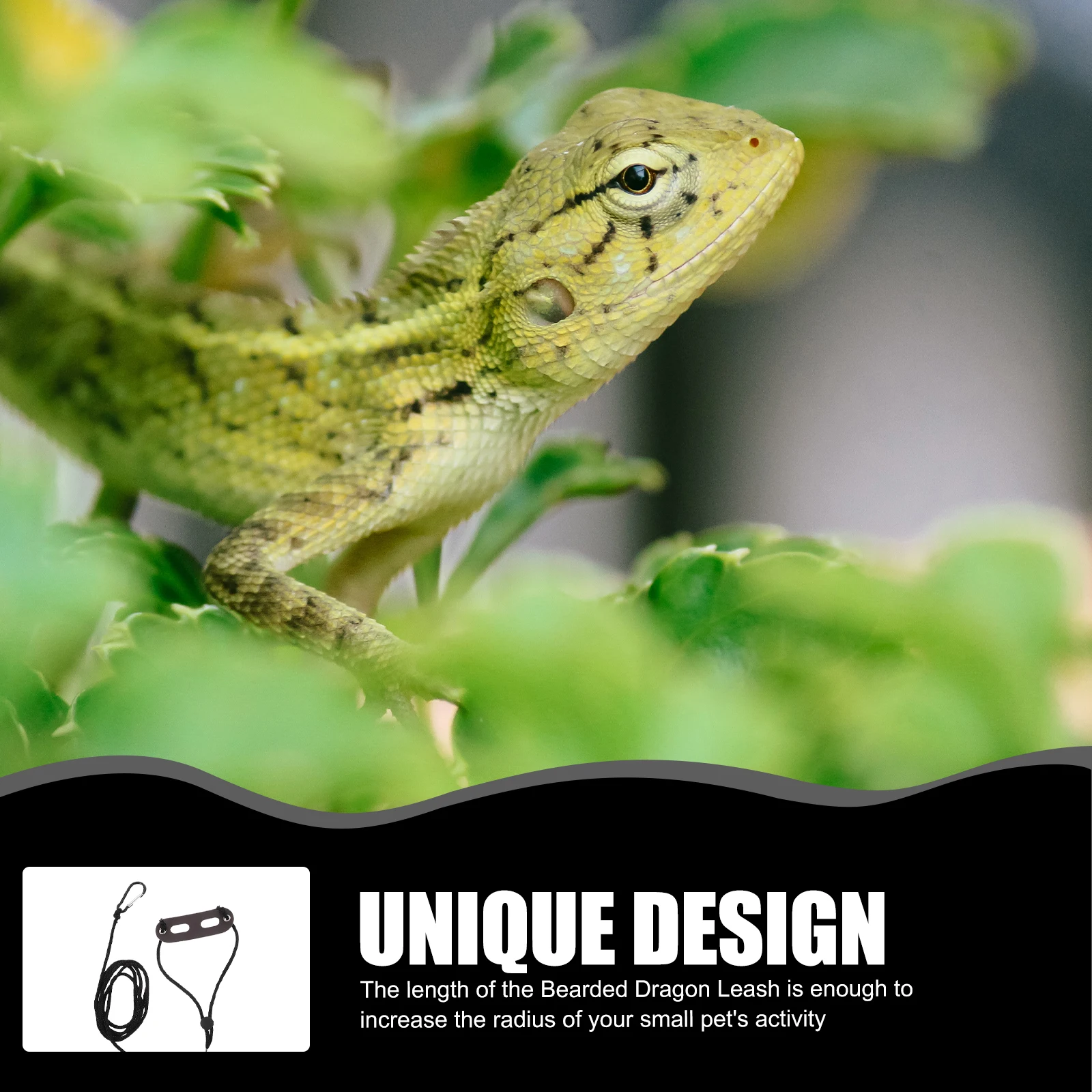 1 Set Bearded Dragon Lizard Reptile Gecko Traction Rope Small Pet Supply Compact Lightweight Wear-Resistant Adjustable Outdoor
1 Set Bearded Dragon Lizard Reptile Gecko Traction Rope Small Pet Supply Compact Lightweight Wear-Resistant Adjustable Outdoor