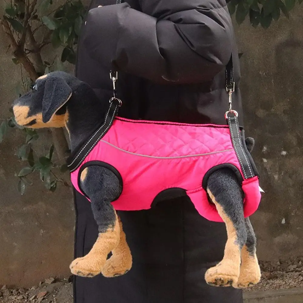 Adjustable Strap Dog Lifting Harness Legs Support Breathable Dog Sling Carrier With Reflective Stripe Assistant
Adjustable Strap Dog Lifting Harness Legs Support Breathable Dog Sling Carrier With Reflective Stripe Assistant