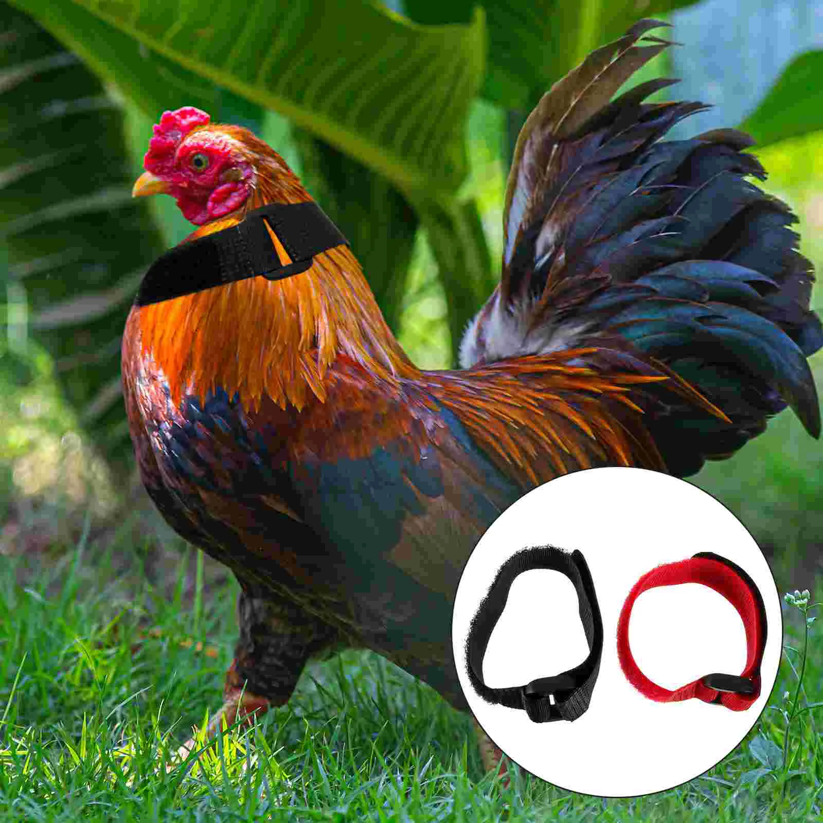 4pcs Anti crowing Rooster Collar Noise Free Poultry Supply Flexible Red Neck Belt Soft Adjustable Chicken Goose Pet
4pcs Anti crowing Rooster Collar Noise Free Poultry Supply Flexible Red Neck Belt Soft Adjustable Chicken Goose Pet