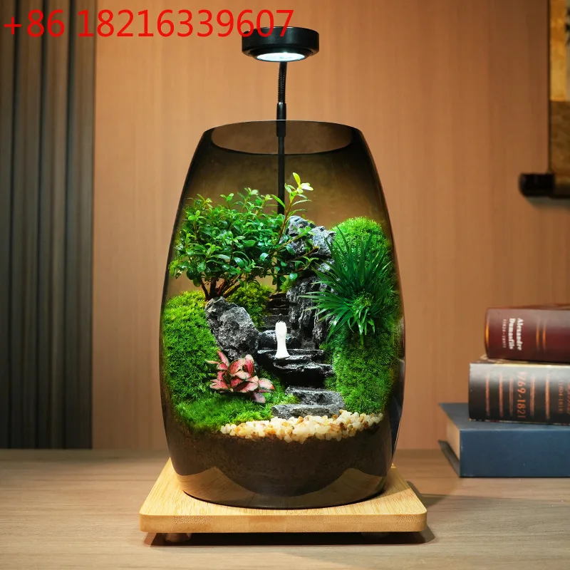 Genting Landscape Bonsai Green Plants Potted Moss Office Desktop Micro Landscape Ecology
Genting Landscape Bonsai Green Plants Potted Moss Office Desktop Micro Landscape Ecology