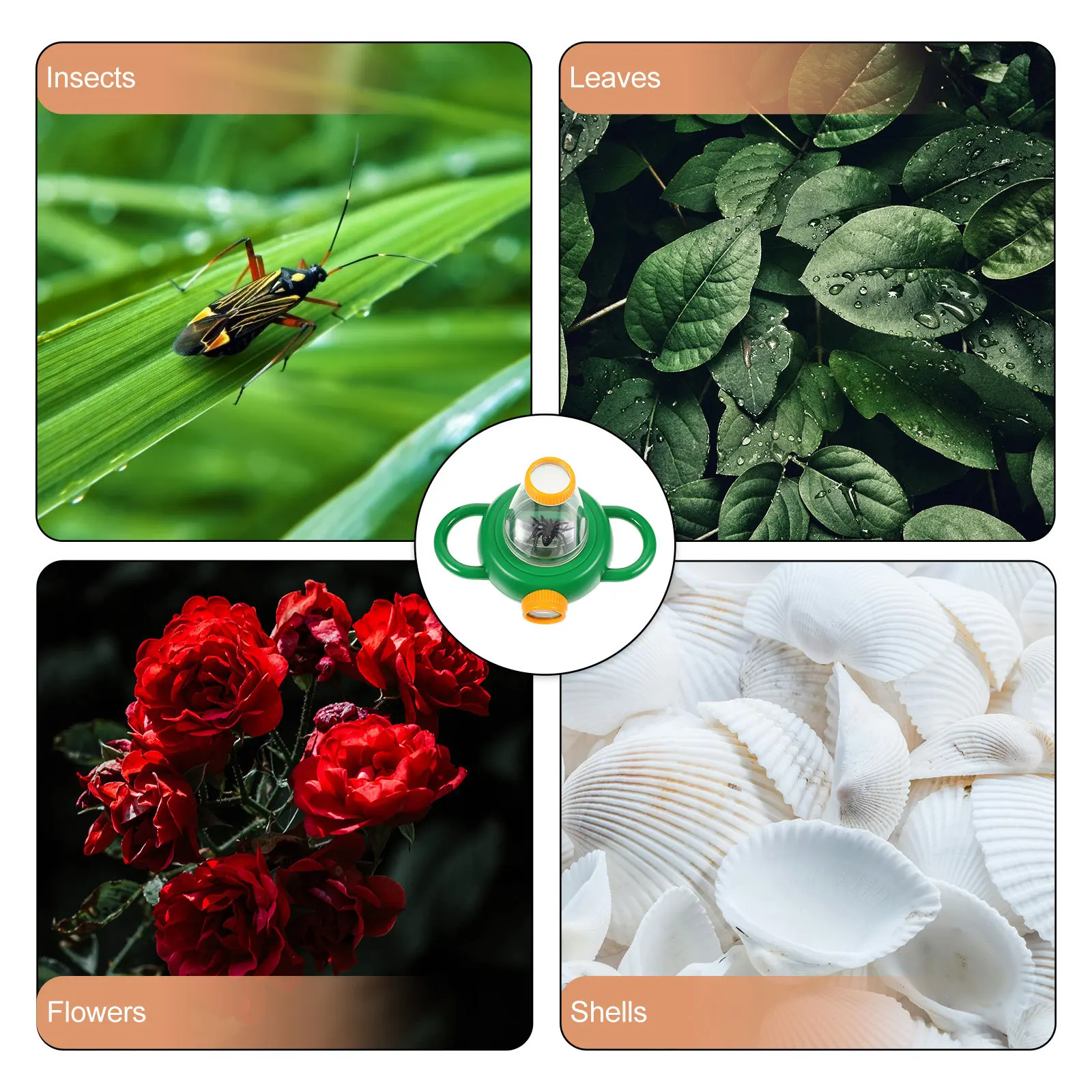 2pcs Insect Observation Box With Magnifying Glass For Kids Science Explorer Collecting Bugs Leaves Rocks Biology Kit Magnifier
2pcs Insect Observation Box With Magnifying Glass For Kids Science Explorer Collecting Bugs Leaves Rocks Biology Kit Magnifier