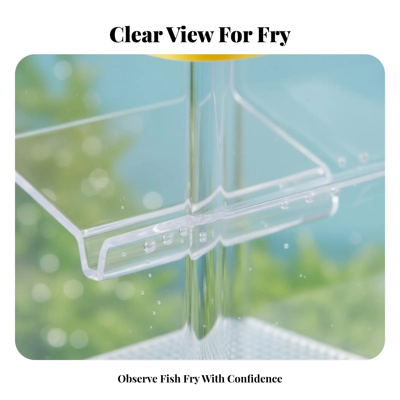 Buoyant Aquatic Creature Breeder Box High Clarity Buoyant Aquatic Creature Separation Box Fry Separation Hatchery Easy to Clean
Buoyant Aquatic Creature Breeder Box High Clarity Buoyant Aquatic Creature Separation Box Fry Separation Hatchery Easy to Clean