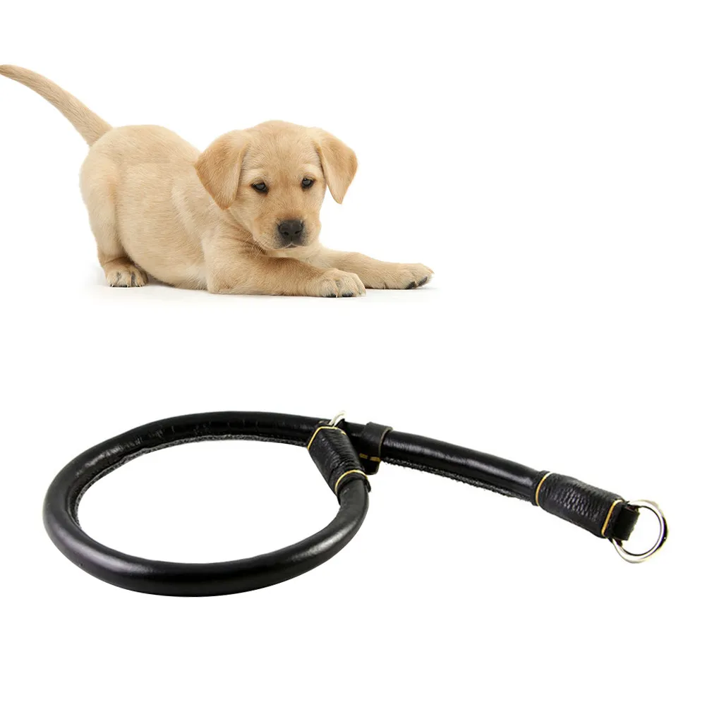 Поводок-цепочка для собак средних и крупных пород, регулируемый, с мягкой подкладкой, прочный, для прогулок и дрессировки.
Поводок-цепочка для собак средних и крупных пород, регулируемый, с мягкой подкладкой, прочный, для прогулок и дрессировки.