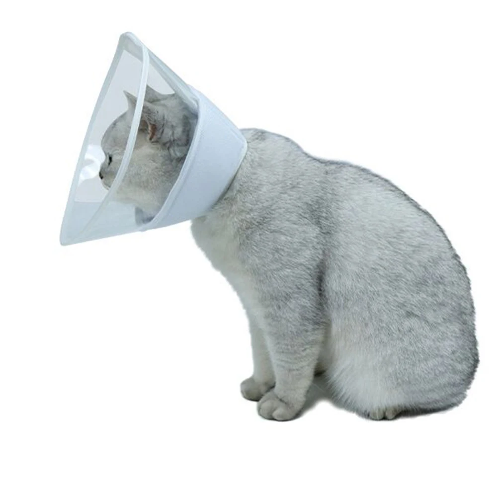Transparent Circle Anti Lick Collar Soft Cone for Cats Pet Collar Elizabethan Dog Accessories Durable Washable
Transparent Circle Anti Lick Collar Soft Cone for Cats Pet Collar Elizabethan Dog Accessories Durable Washable