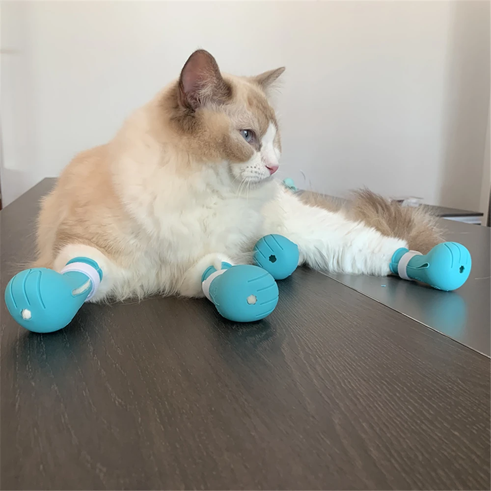 Silicone Cat Shoes for Kitten Grooming Bath Anti-Scratch Shoes Adjustable Cat Boots Cut Nails Washing Cats Claw Protector Cover
Silicone Cat Shoes for Kitten Grooming Bath Anti-Scratch Shoes Adjustable Cat Boots Cut Nails Washing Cats Claw Protector Cover