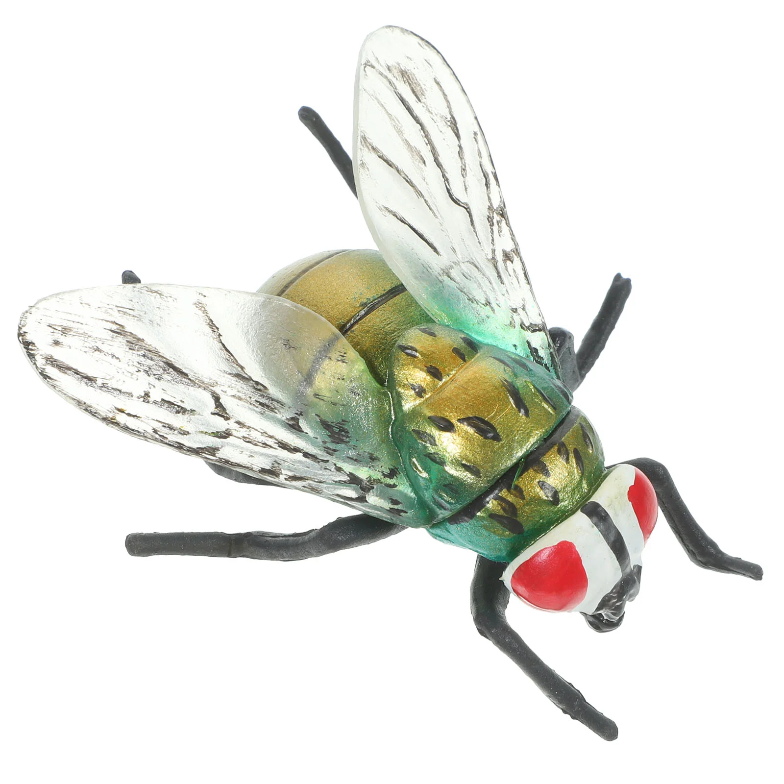 Realistic Housefly nament Plastic Model Insect Toy Bugs Decor Safe Material Exquisite Craftsmanship Not Easy Fade
Realistic Housefly nament Plastic Model Insect Toy Bugs Decor Safe Material Exquisite Craftsmanship Not Easy Fade