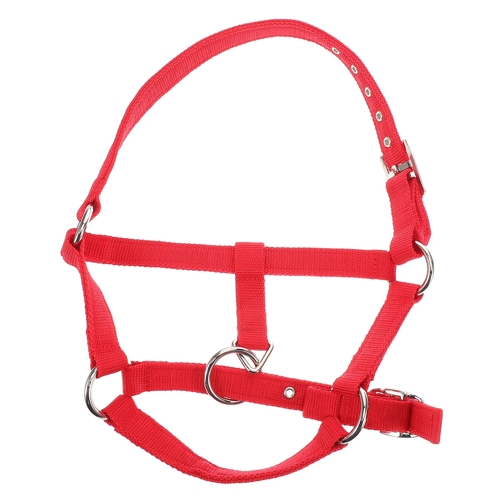 Training Accessories Adjustable Nylon Livestrian Cattle Halters Horse Bridle Webbing Comfort Performance
Training Accessories Adjustable Nylon Livestrian Cattle Halters Horse Bridle Webbing Comfort Performance