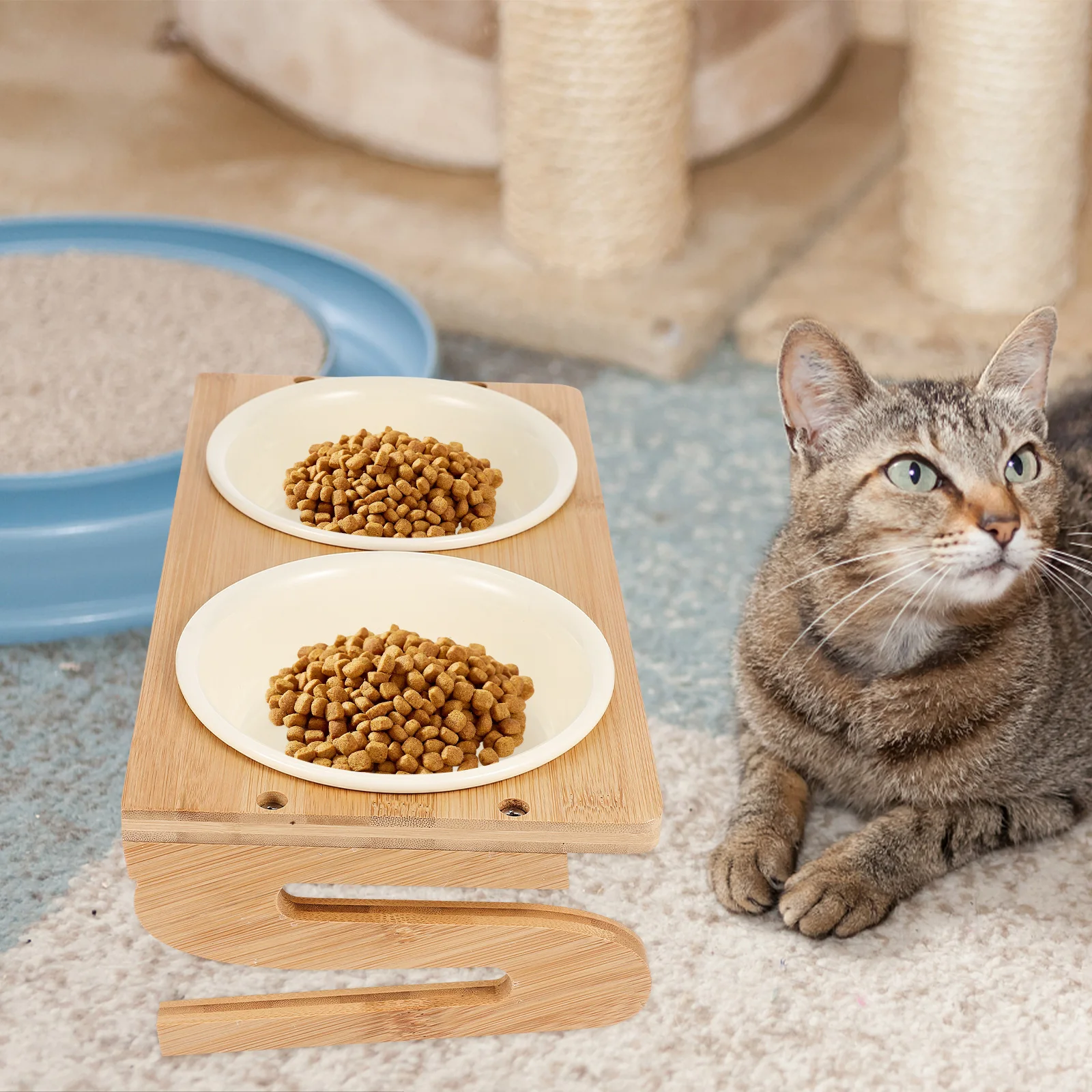 1 set Ceramic Elevated Pet Anti-Slip Floor Feeding Kitten Bowl Wood Stand Reusable Indoor Cat Supply Pet Food Bowl Household Cat
1 set Ceramic Elevated Pet Anti-Slip Floor Feeding Kitten Bowl Wood Stand Reusable Indoor Cat Supply Pet Food Bowl Household Cat