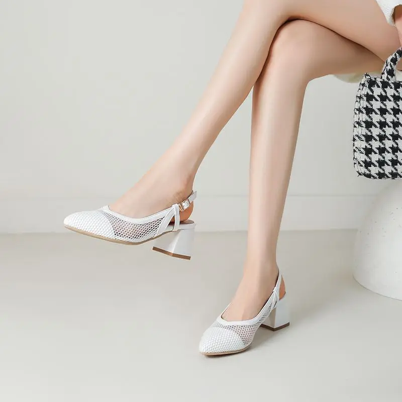 REAVE CAT 2025 г. Женские сандалии, летние офисные летние туфли на массивном каблуке 5,5 см с пряжкой и ремешком, летняя обувь из дышащей сетки, большие размеры 41 42 43
REAVE CAT 2025 г. Женские сандалии, летние офисные летние туфли на массивном каблуке 5,5 см с пряжкой и ремешком, летняя обувь из дышащей сетки, большие размеры 41 42 43