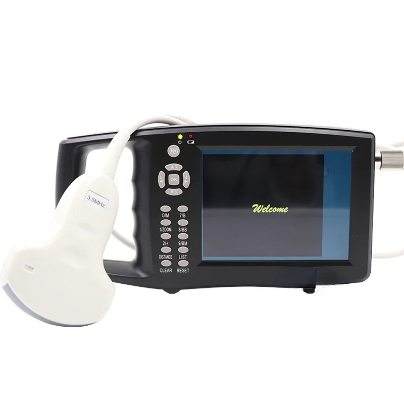 Hot SalesWholesale High Accuracy Handheld Animal Goat Preg,nancy Tester B-Ultrasound Scanner Machine For Pig Sheep Goat
Hot SalesWholesale High Accuracy Handheld Animal Goat Preg,nancy Tester B-Ultrasound Scanner Machine For Pig Sheep Goat