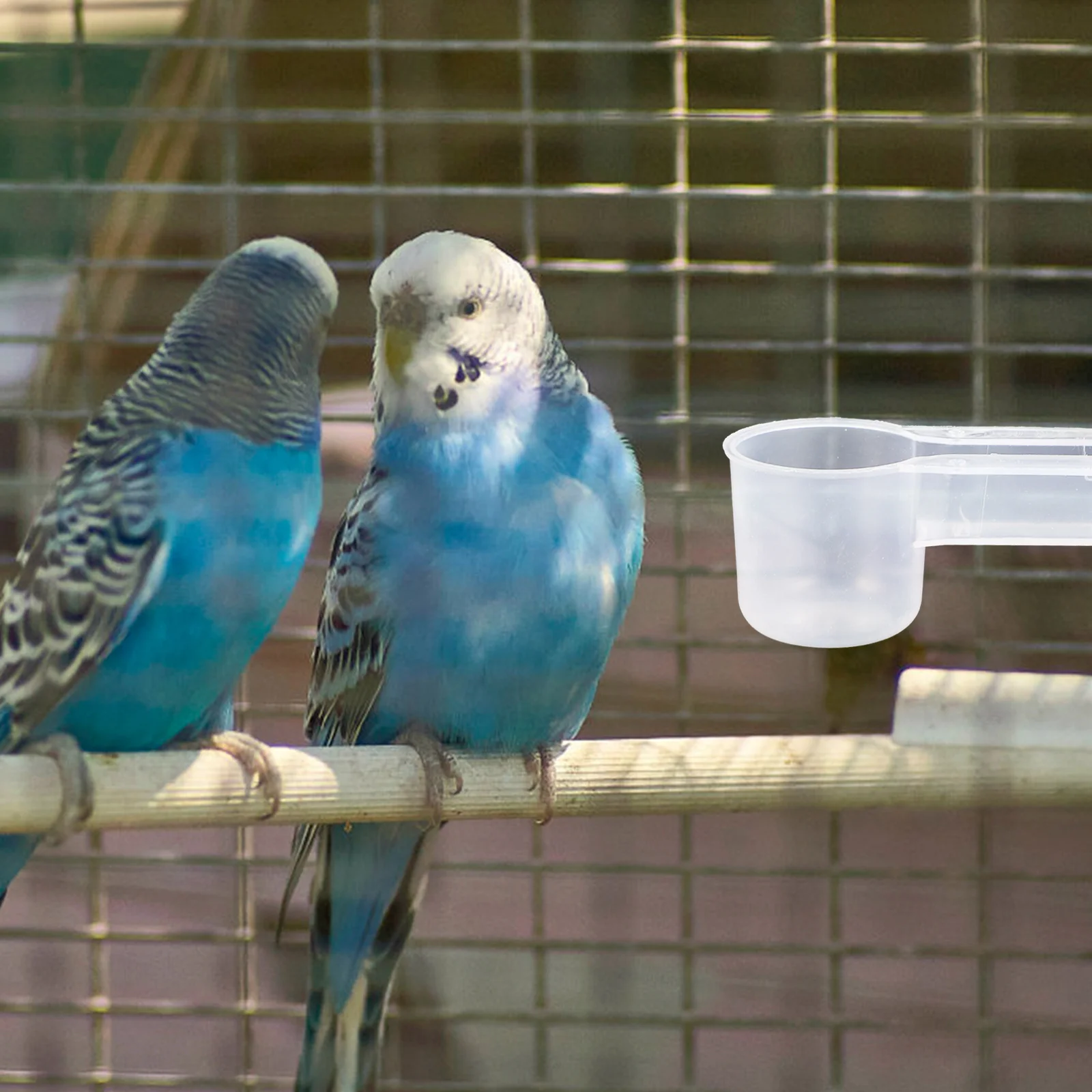 10Pcs Birds Waterer Autodrinker Durable Plastic Drinking Bowl for Parrot Pigeon Pet Shop Home Zoo Birds Dish Pigeon Waterer
10Pcs Birds Waterer Autodrinker Durable Plastic Drinking Bowl for Parrot Pigeon Pet Shop Home Zoo Birds Dish Pigeon Waterer