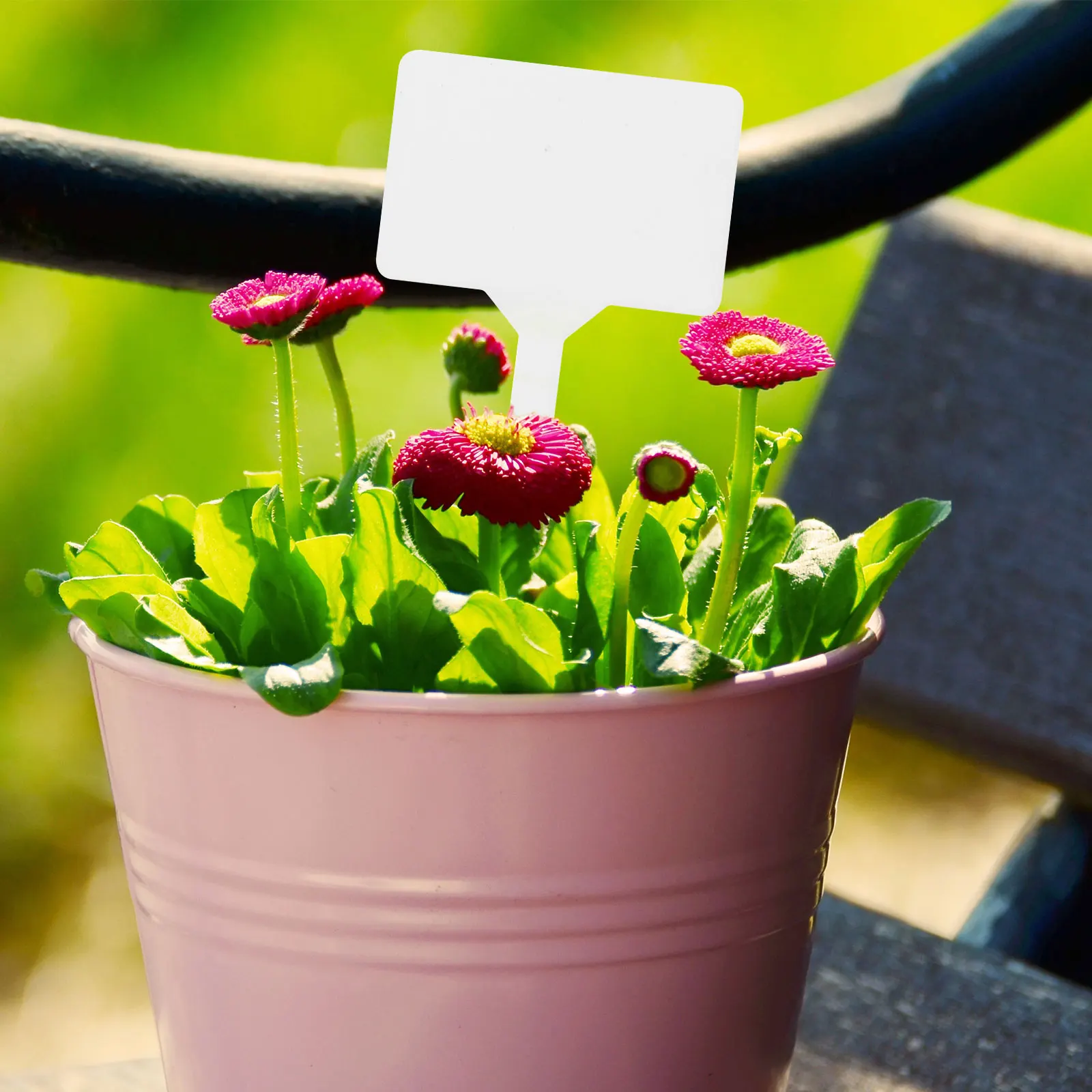 50pcs Thick T Shaped Plant Labels for Flower Pots Gardens Easy Insert Soil Lightweight Portable Garden Marker DIY Home Decor 
50pcs Thick T Shaped Plant Labels for Flower Pots Gardens Easy Insert Soil Lightweight Portable Garden Marker DIY Home Decor