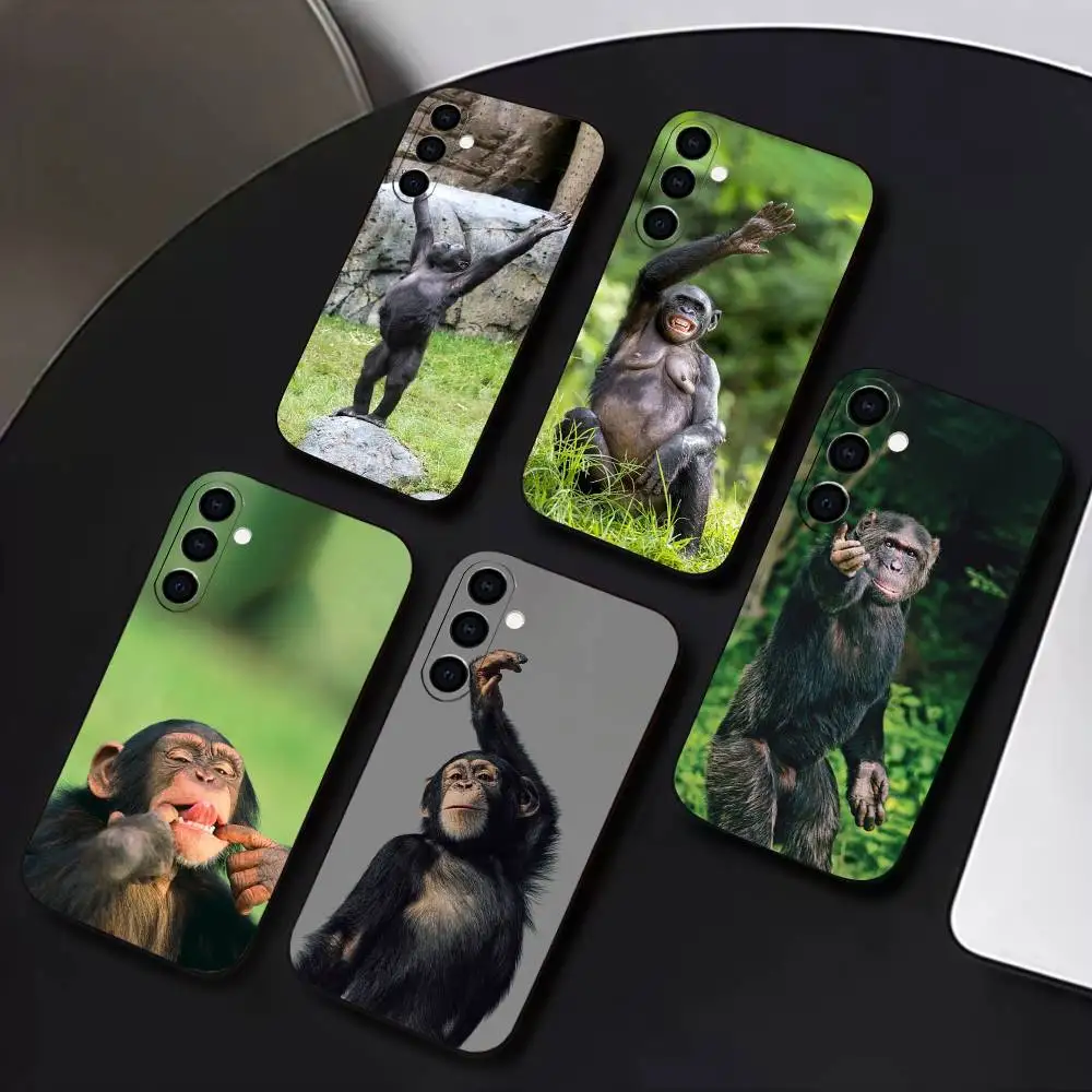 Monkey Gorilla Orangutan Funny Phone Case Silicone Soft For Samsung Galaxy A73,A72,A71,A70,A53,A52,A51
Monkey Gorilla Orangutan Funny Phone Case Silicone Soft For Samsung Galaxy A73,A72,A71,A70,A53,A52,A51