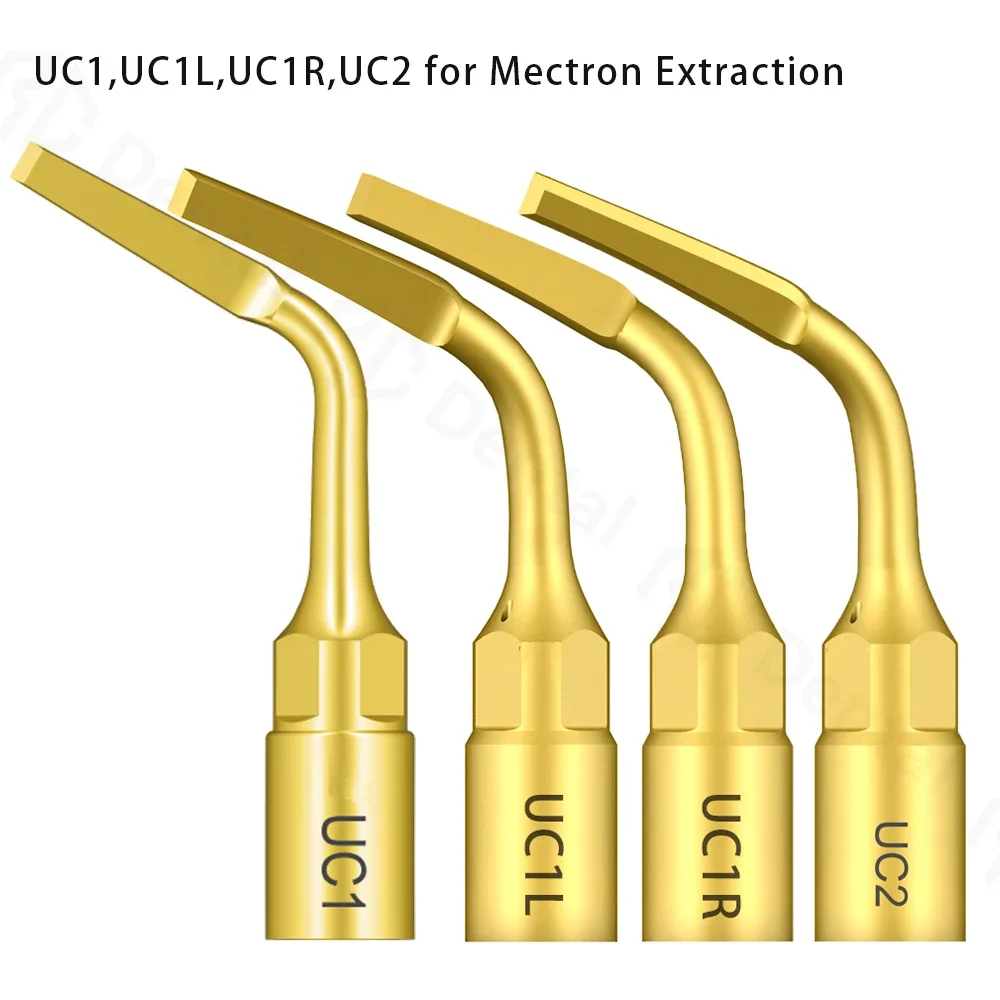 5PCS Dental Ultrasonic Scaler Tips UC1 UC2 UC3 New Dental Ultrasonic Scaler Exelcymosis tip fit Woodpecker/Mectron Golden UC1
5PCS Dental Ultrasonic Scaler Tips UC1 UC2 UC3 New Dental Ultrasonic Scaler Exelcymosis tip fit Woodpecker/Mectron Golden UC1
