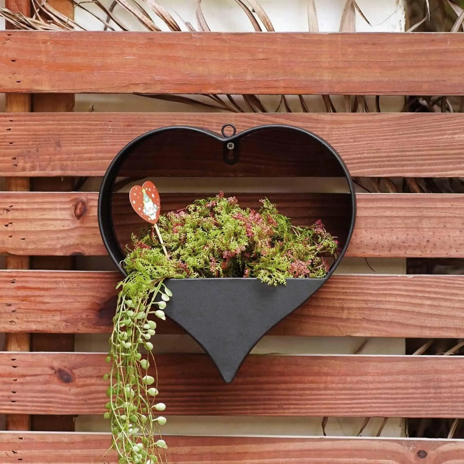Heart Shape Hanging Planter Metal Hanging Planter Indoor and Outdoor Rustic for Office
Heart Shape Hanging Planter Metal Hanging Planter Indoor and Outdoor Rustic for Office