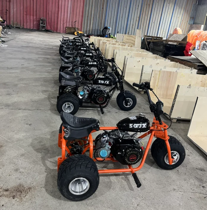 Factory Wholesale 212cc 4-Stroke Petrol Fuel Polished Aluminum Alloy Wheels Hydraulic Disc Brake Durable Steel Frame Go Kart
Factory Wholesale 212cc 4-Stroke Petrol Fuel Polished Aluminum Alloy Wheels Hydraulic Disc Brake Durable Steel Frame Go Kart