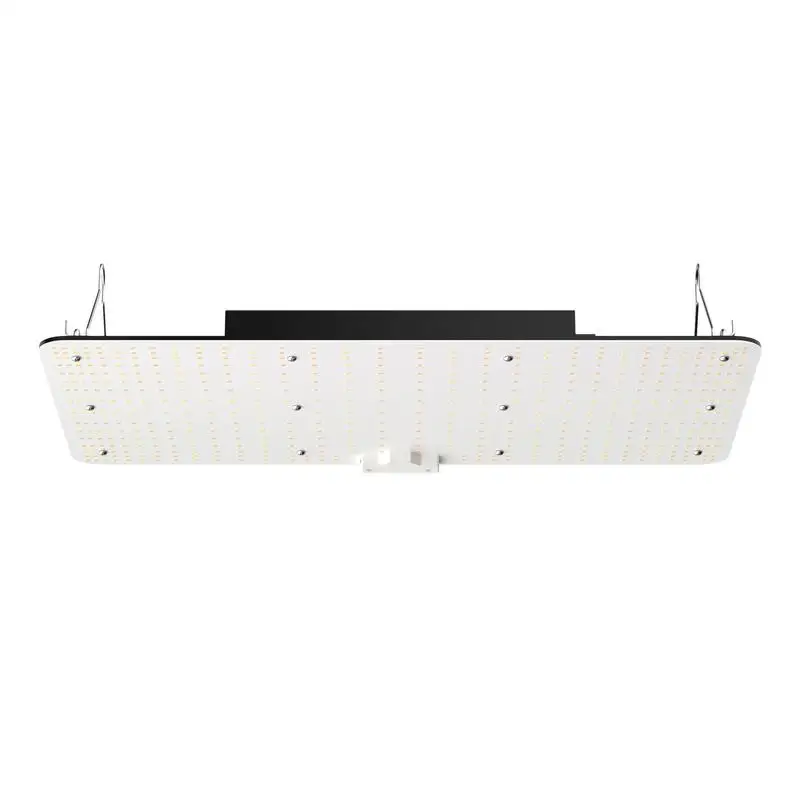 Full Spectrum Plant Lamp 200W For Indoor Seedling Vegetation Flowering, Samsung 2B1B Diodes Daisy Chain Compatible 1.2x2.4/3x3 ft Greenhouse Grow Light
Full Spectrum Plant Lamp 200W For Indoor Seedling Vegetation Flowering, Samsung 2B1B Diodes Daisy Chain Compatible 1.2x2.4/3x3 ft Greenhouse Grow Light