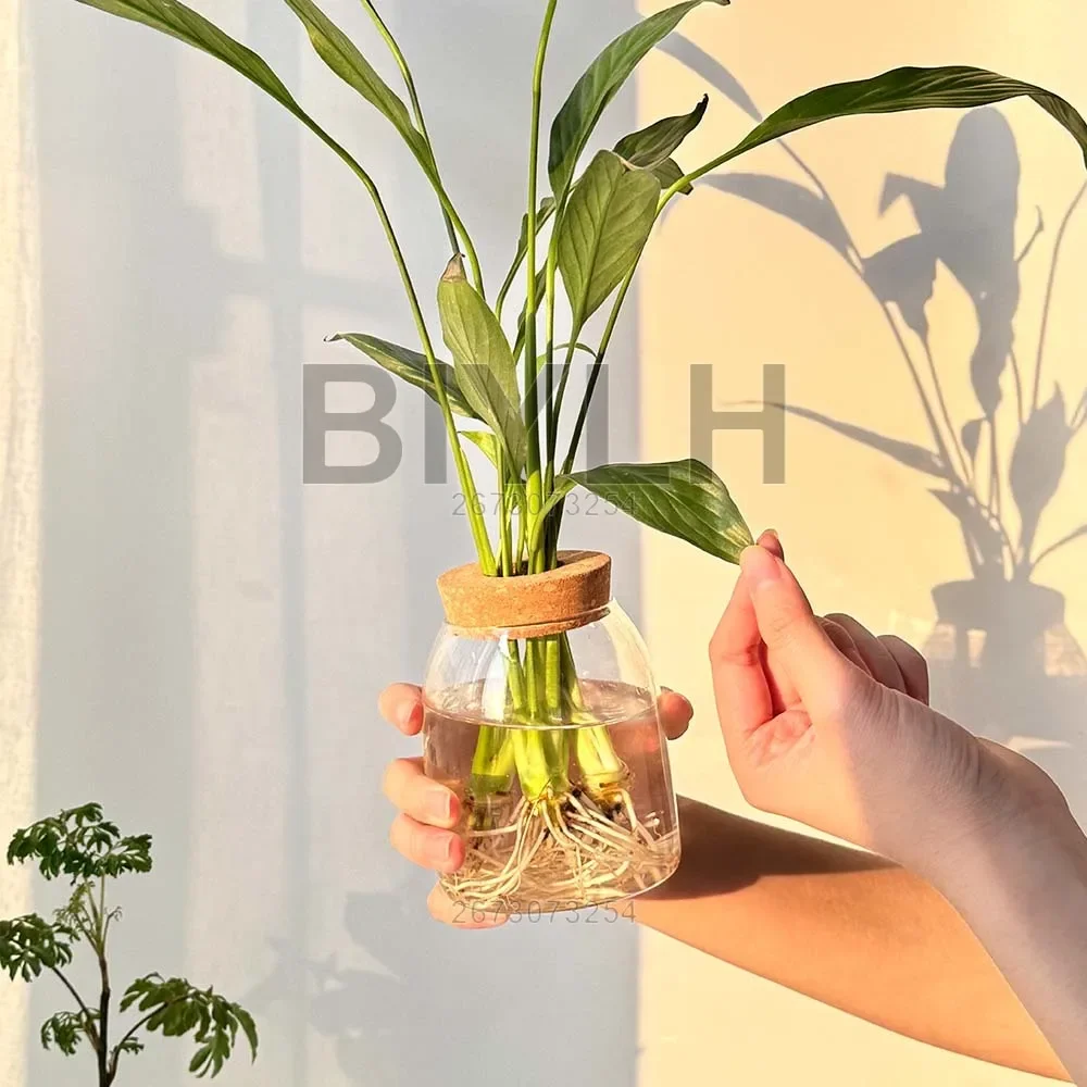 Nordic Style Home Decoration Vase Transparent Hydroponic Small Vase Garden Decor Glass Green Plant Small Flower Pot Accessories
Nordic Style Home Decoration Vase Transparent Hydroponic Small Vase Garden Decor Glass Green Plant Small Flower Pot Accessories